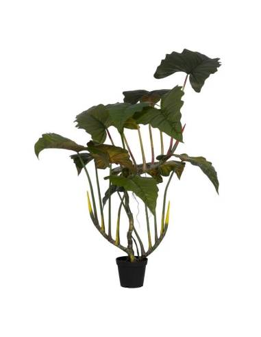 Si no puedes ocuparte del constante mantenimiento de las plantas naturales, te proponemos la planta decorativa Colocasia 180 cm.