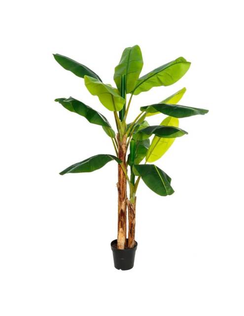 a Planta Decorativa Banana 200 cm. es un exuberante planta artificial de gran tamaño.