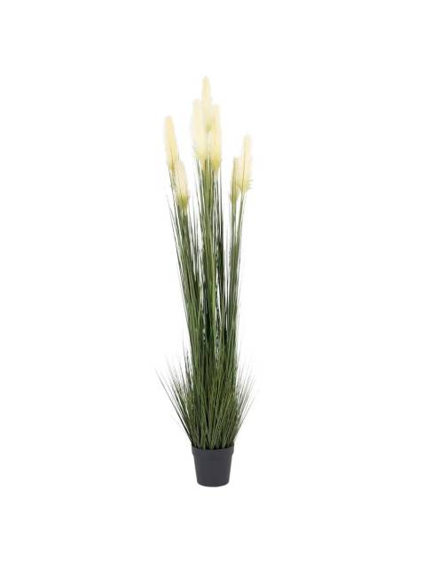 La Planta Decorativa Junco Jopon200 cm es un excelente accesorio para embellecer cualquier estancia del hogar.