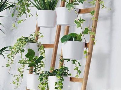 Escaleras como soporte para plantas